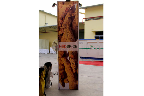 Theme pillar 