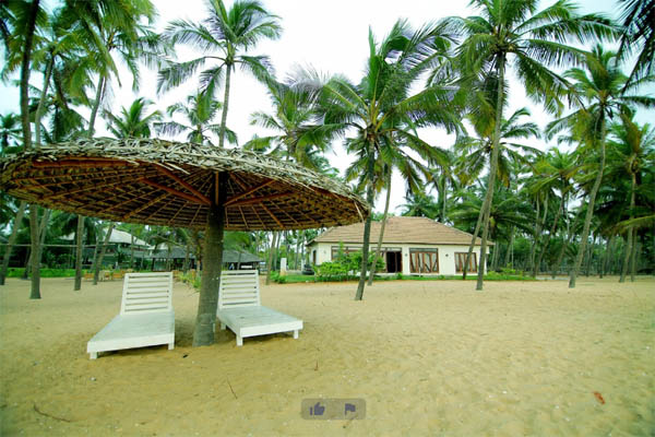 Malabar Ocean Front Resort and Spa facilities: Party area