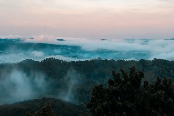 0 Best Venues Available at Mankada