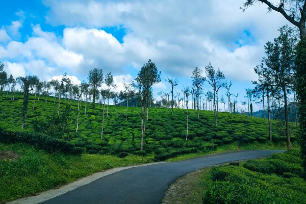 0 Best Venues Available at Peerumed