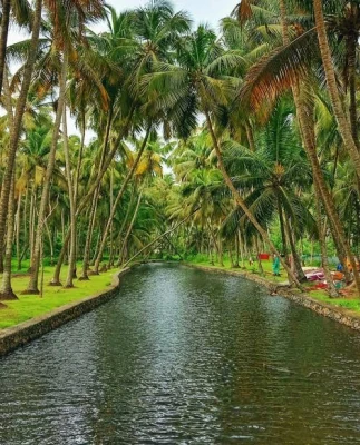 0 Best Venues Available at Vadanappally